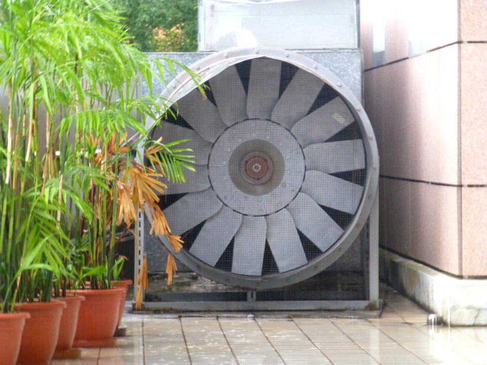 P1030364 