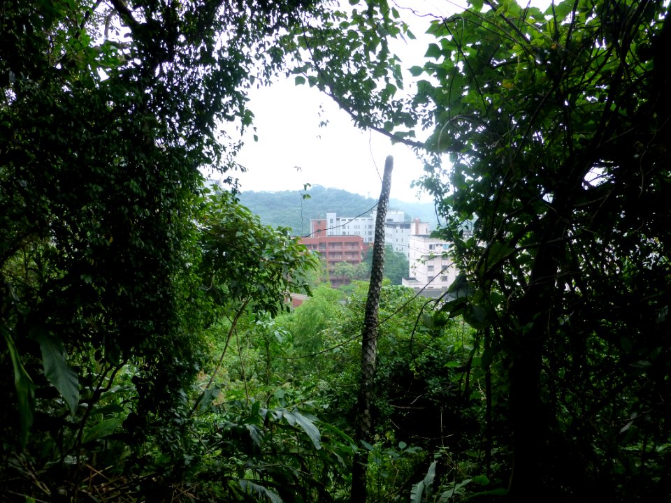 P1030378 