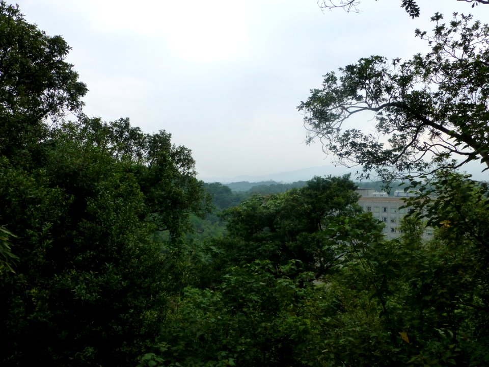 P1030374 