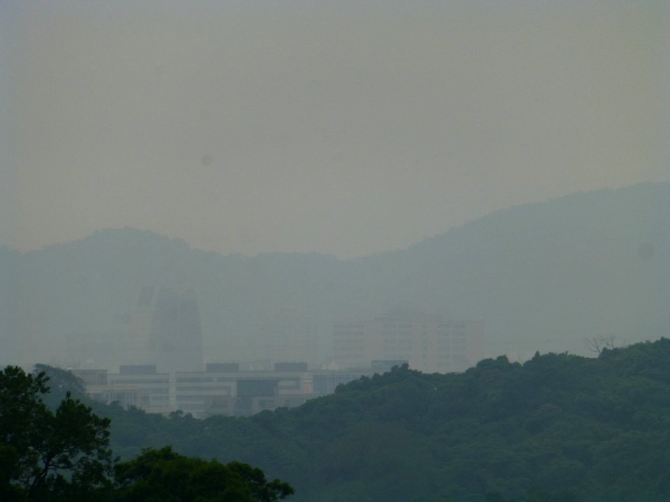 P1030376 