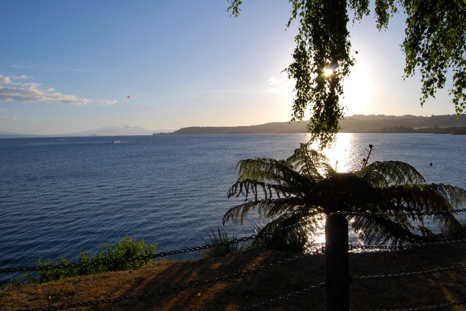 Shoreline lake water