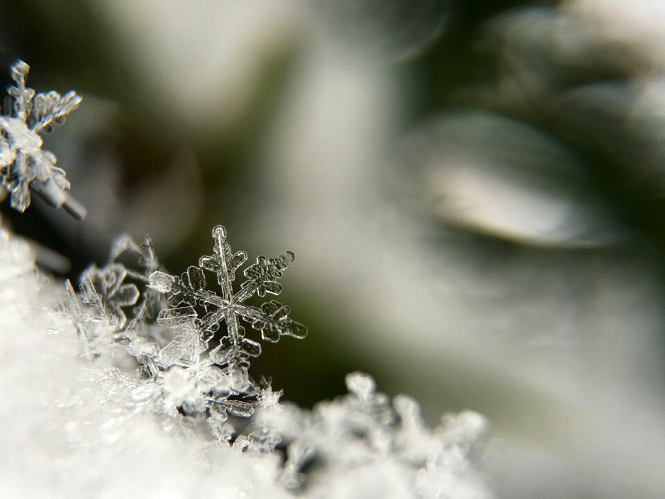 Frozen crystal snow