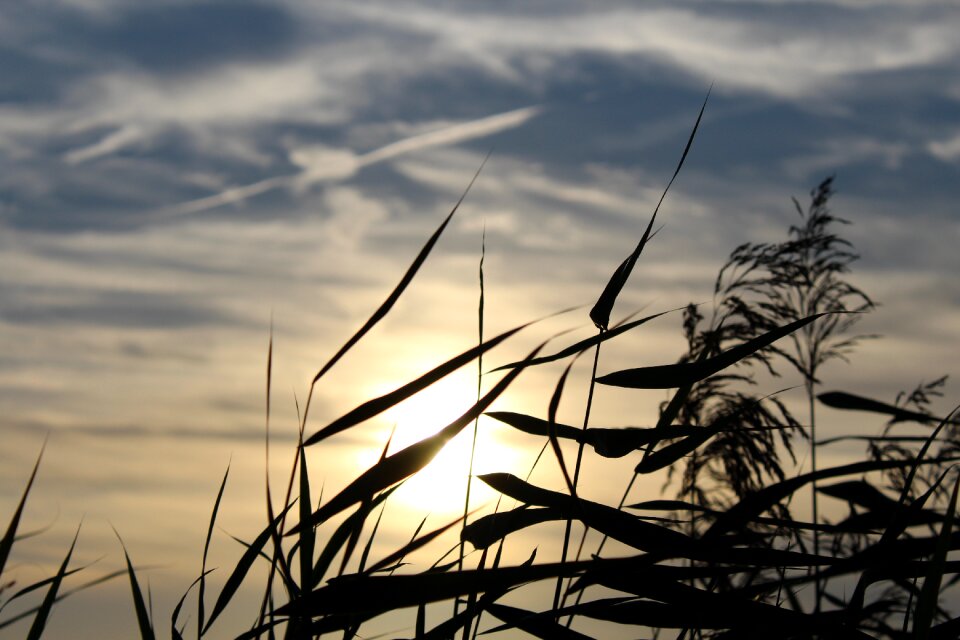 Sky background evening sky