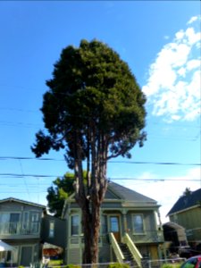 P1030533 