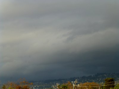 P1030560 