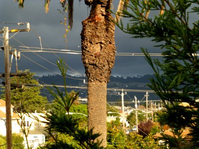P1030563 