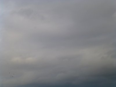 P1030561 