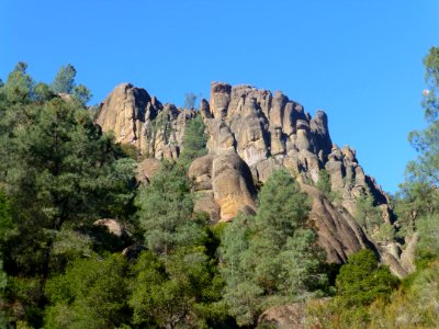 P1030609 