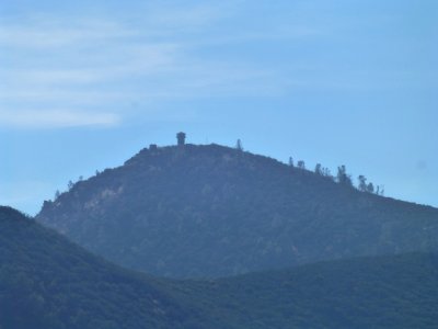 P1030628 