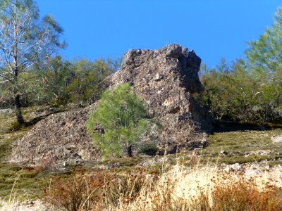 P1030636 