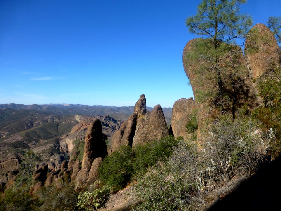 P1030646 