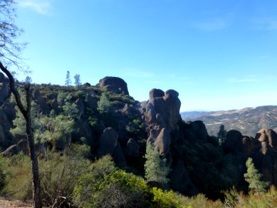 P1030645 