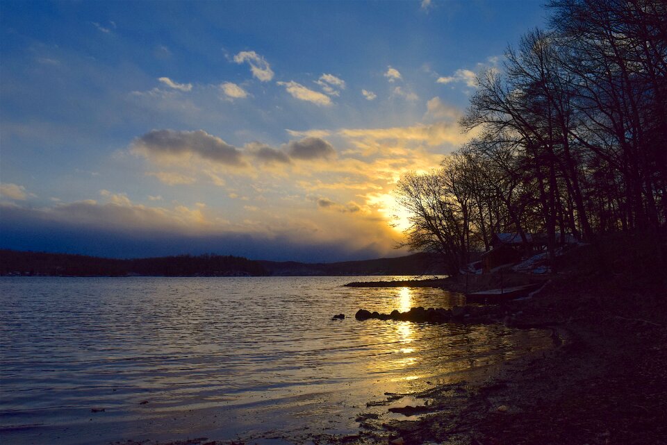 Silhouette tree water photo