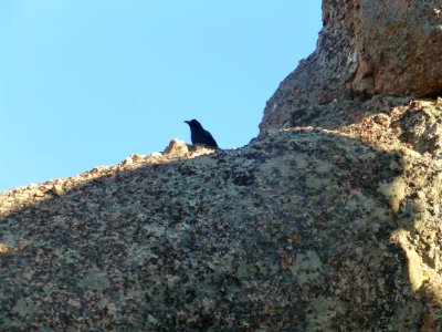 P1030690 