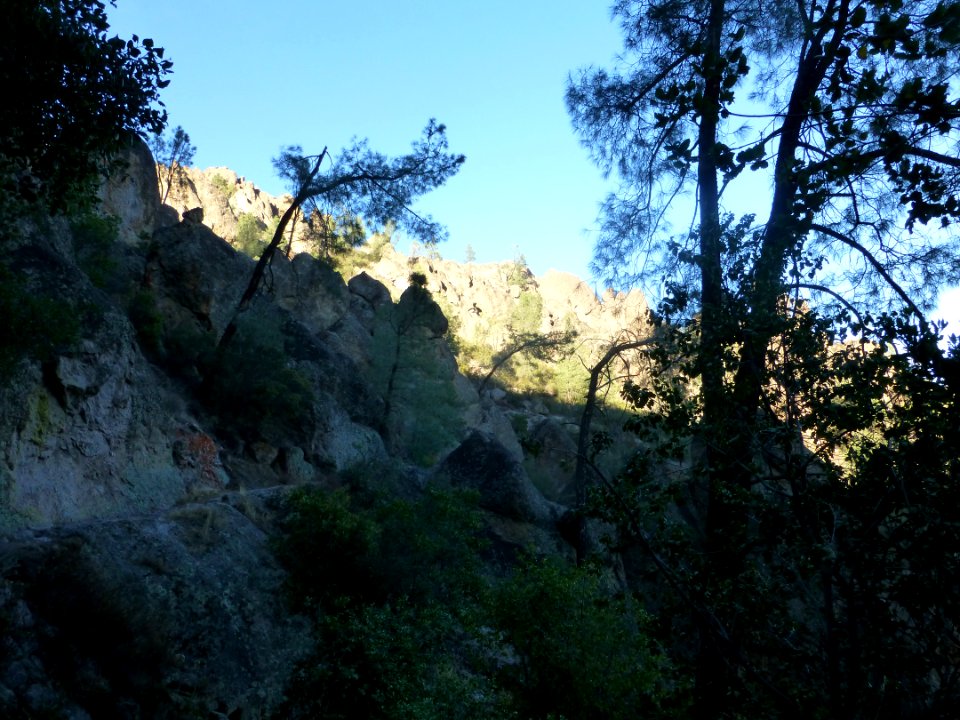 P1030702 