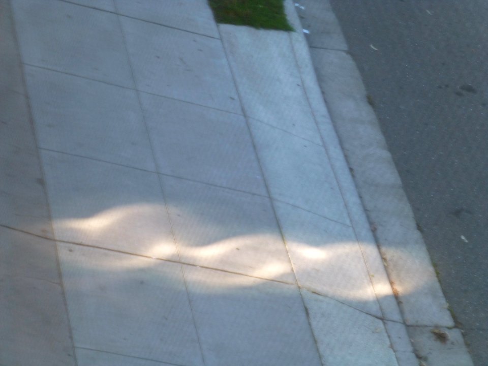 P1030754 