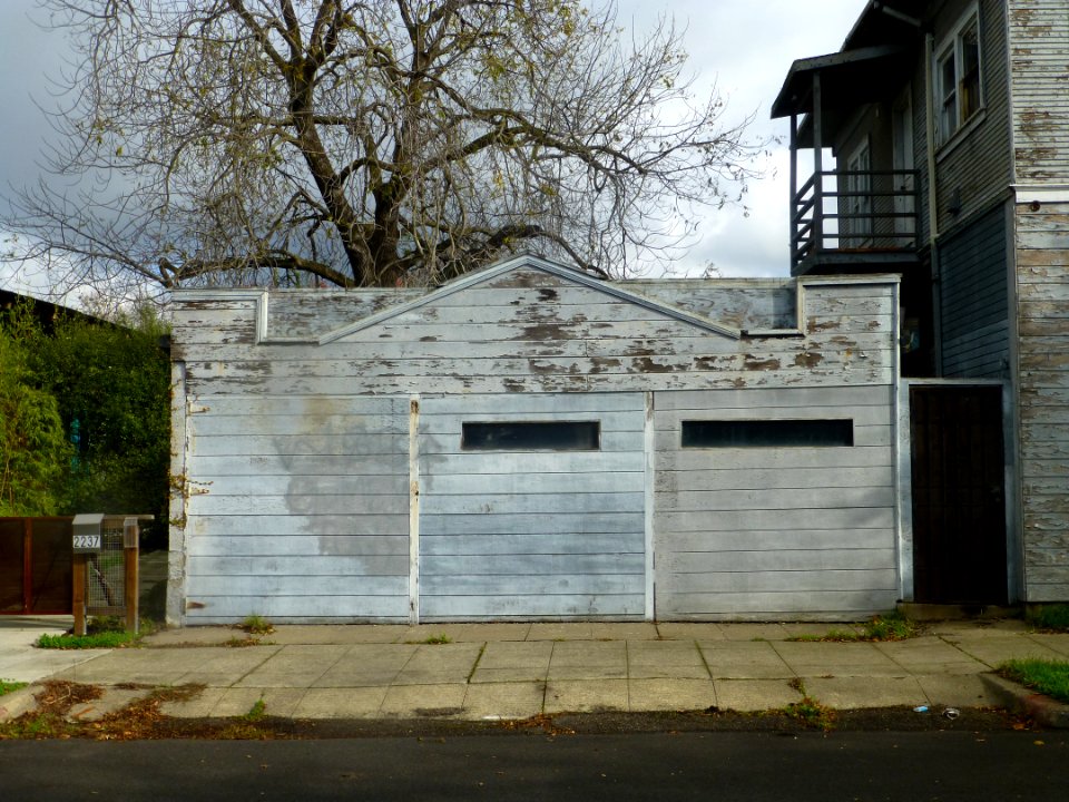 P1030787 