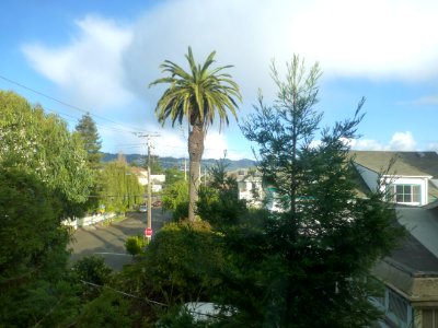 P1030790 