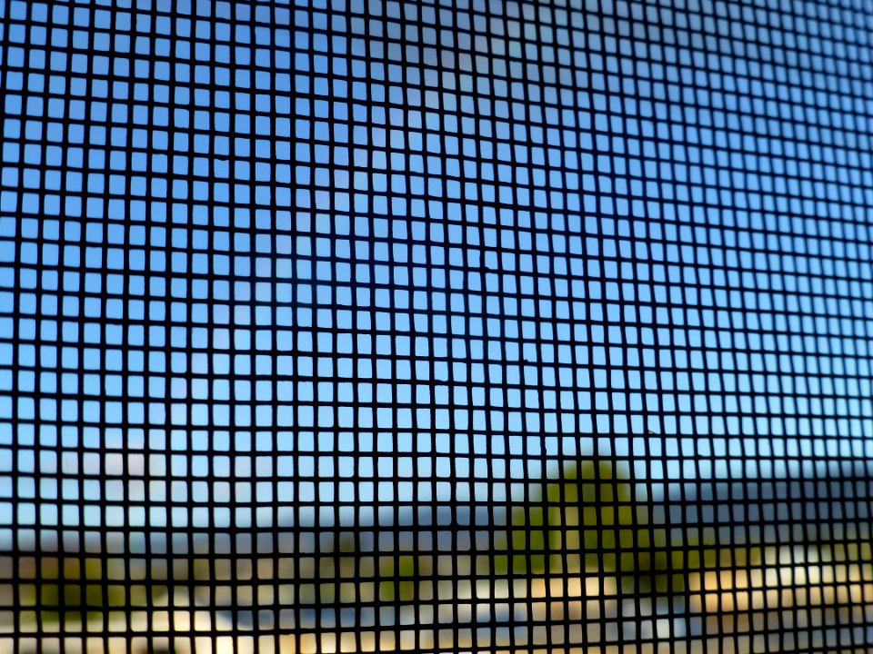P1030807 