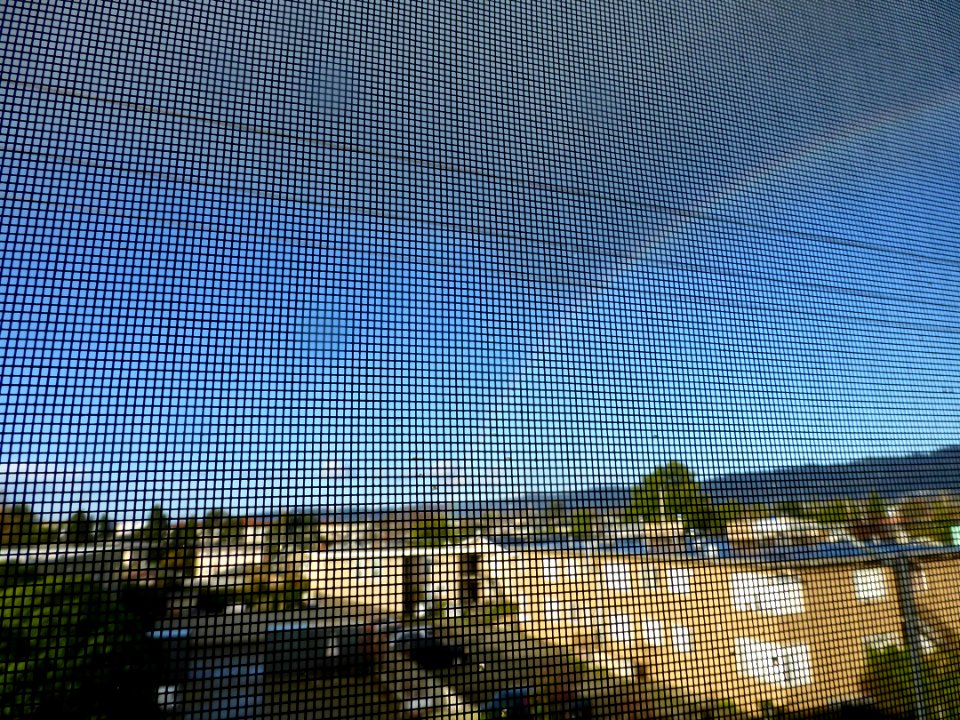 P1030805 