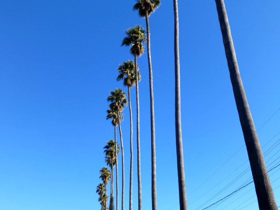 P1030878 