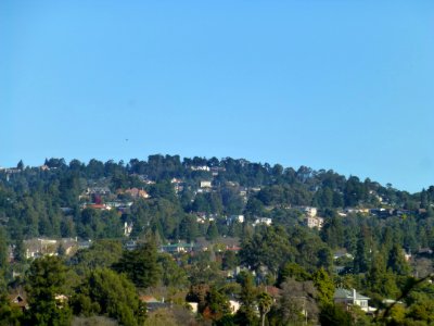 P1030894 