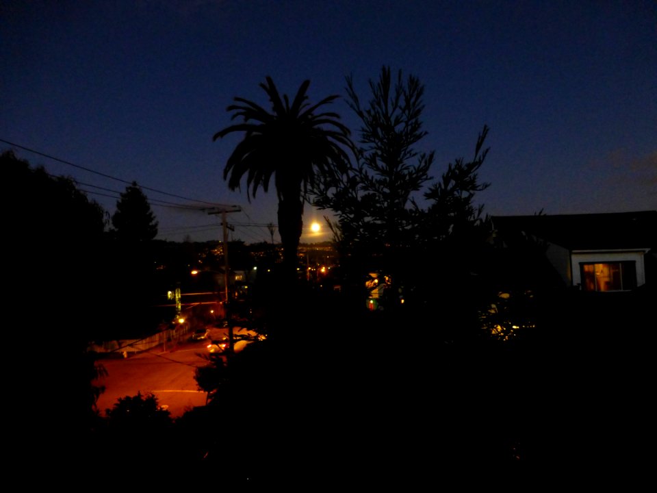 P1030919 