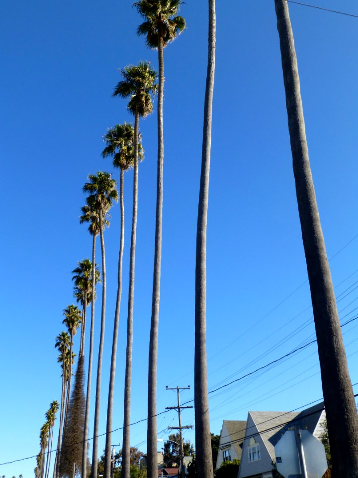 P1030879 