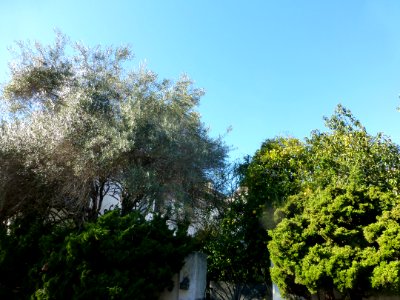 P1030884 