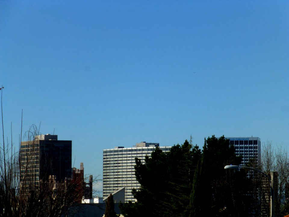P1030893 
