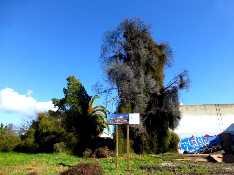 P1030911 