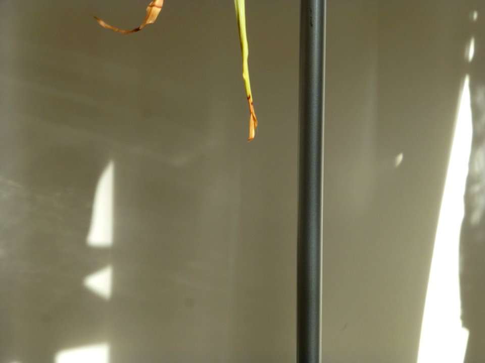 P1030961 