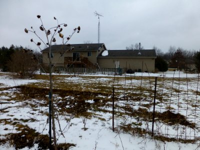 P1040142 
