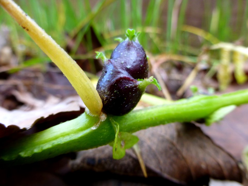 P1040225 