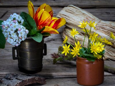 Cup wood deco