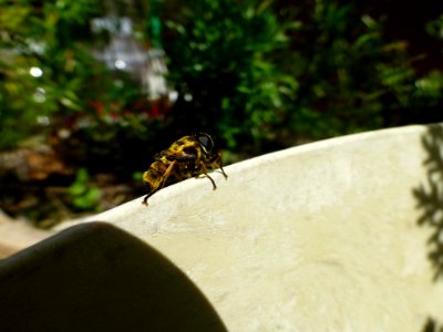 P1040328 