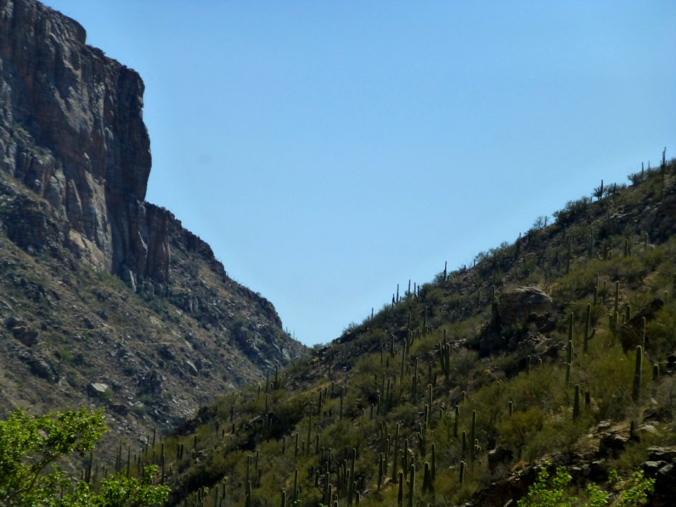 P1040444 