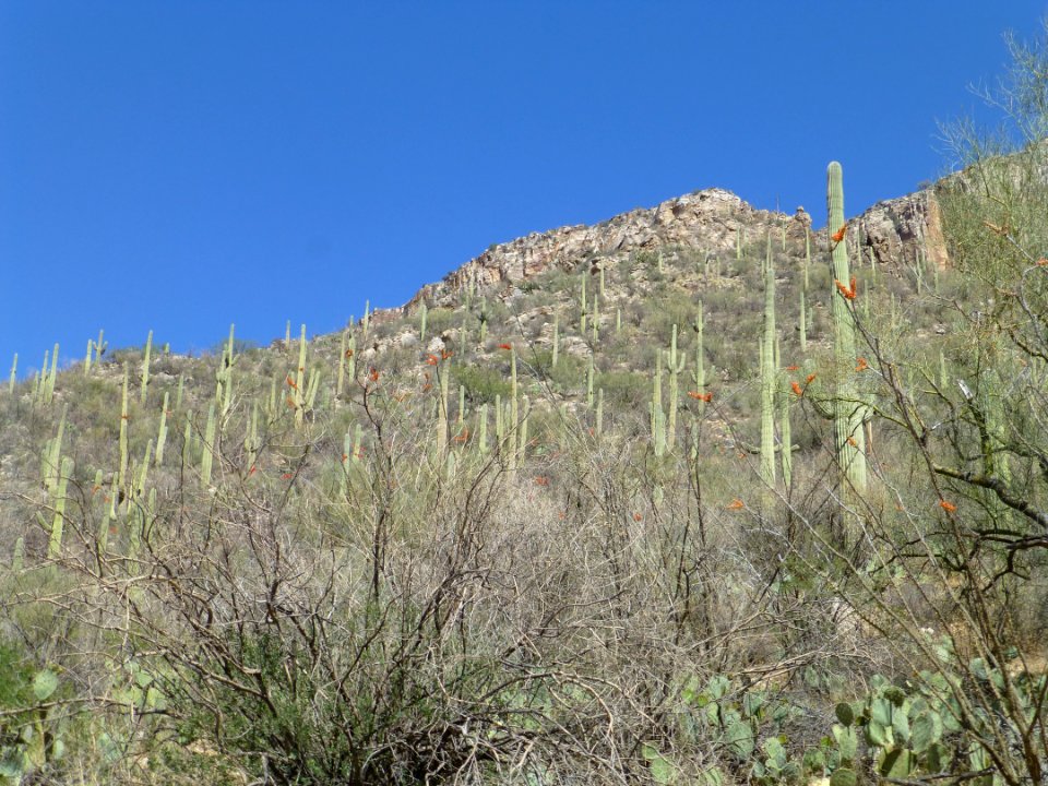 P1040442 