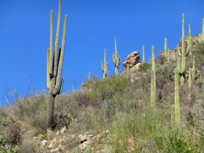 P1040443 
