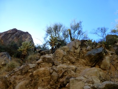 P1040468 