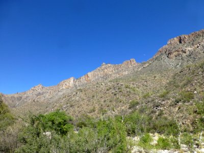 P1040464 