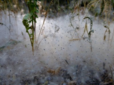 P1040519 
