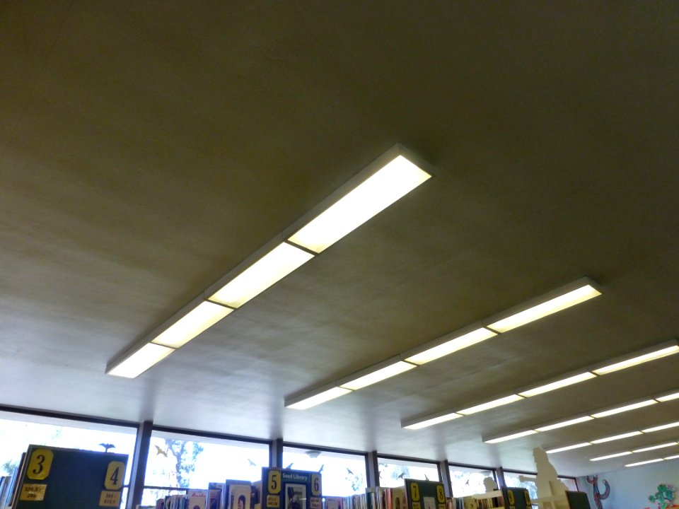 P1040565 