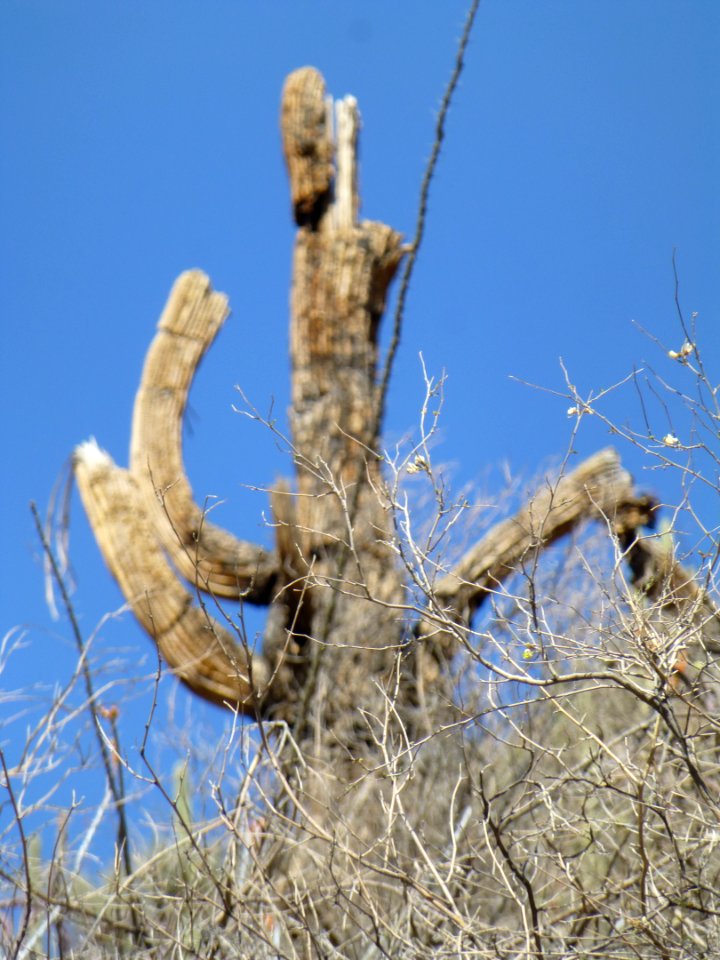 P1040448 