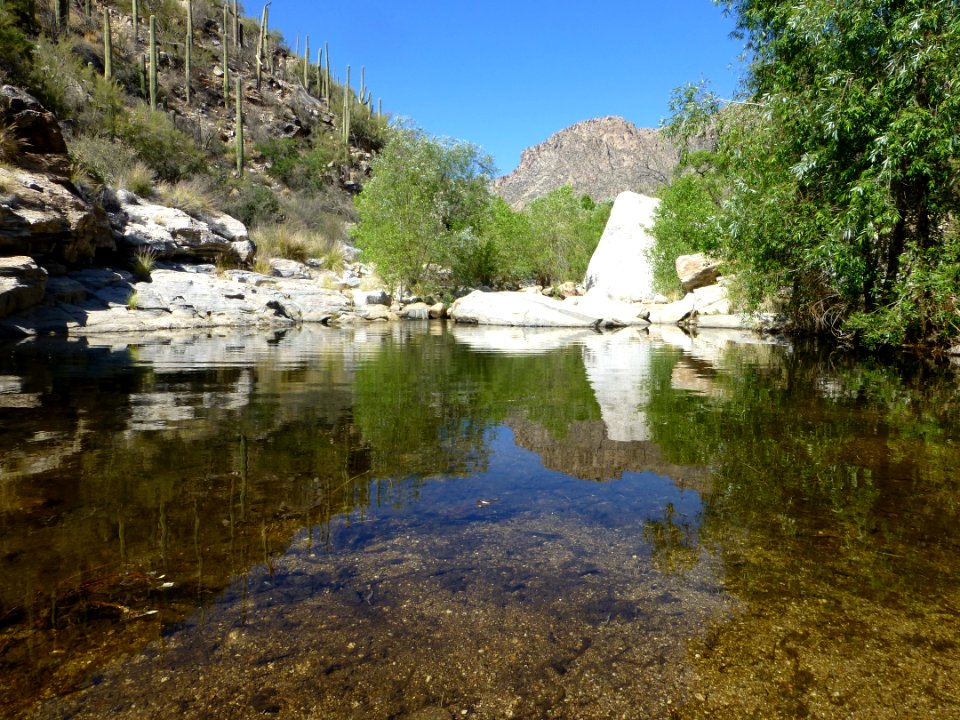 P1040453 