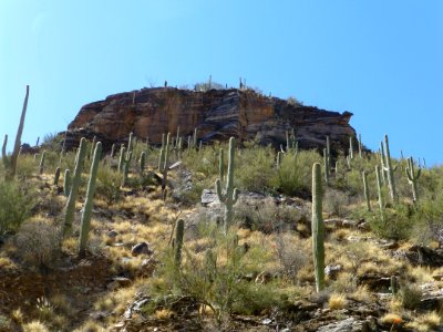 P1040454 