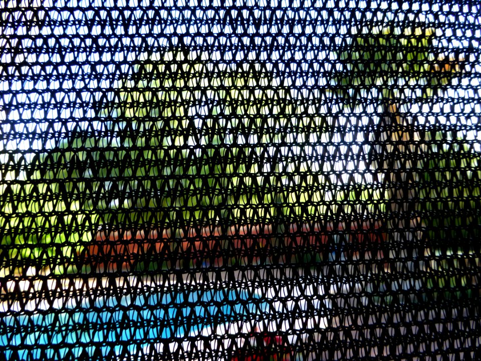 P1040574 