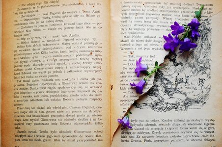 Flowers violet vintage