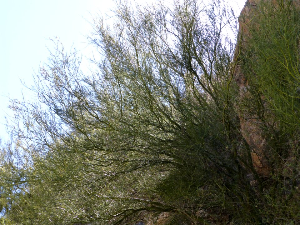 P1040478 