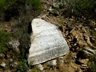 P1040487 